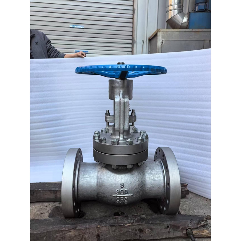 class900-api-cf8-globe-valve-datasheet