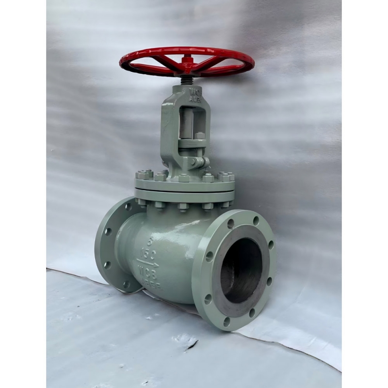 bs1873-rf-flanged-globe-valve-cross-section