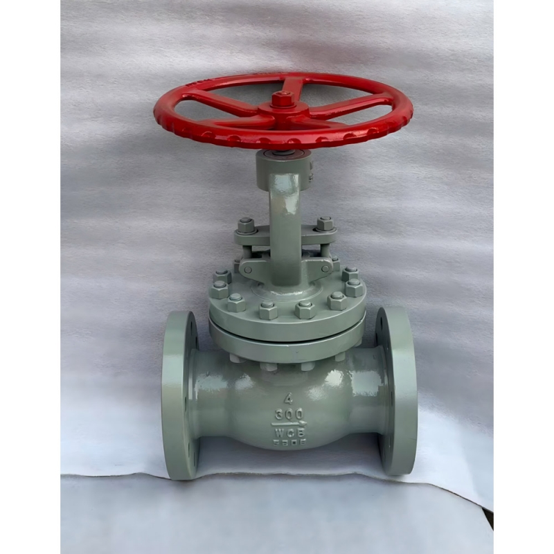 cf8-stainless-steel-globe-valve-for-chemical-plant