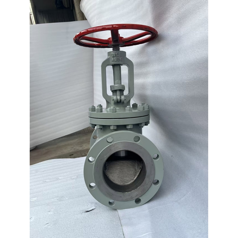 bs1873-wcb-globe-valve-datasheet