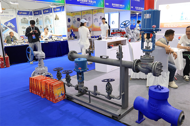 Pressure-Sealed Check Valve