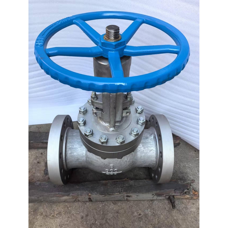 api-class900-cf8-globe-valve-3d-model
