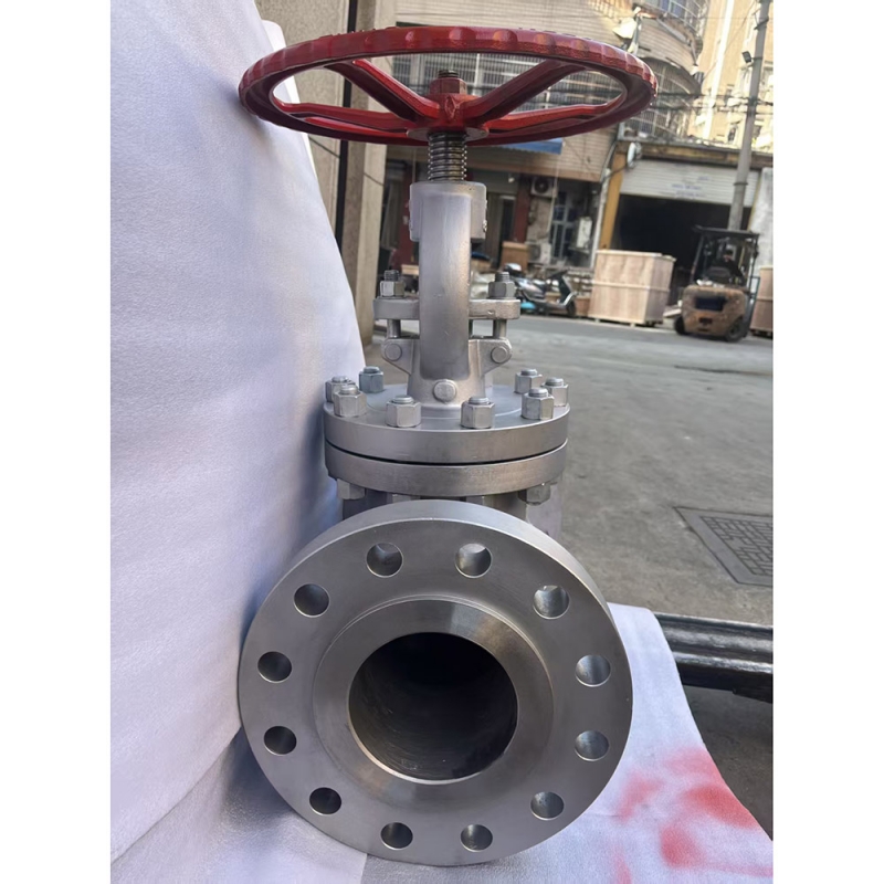 api600-cf8m-flanged-globe-valve-cross-section