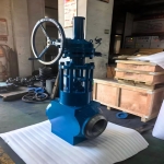 butt-welded-power-station-globe-valve-3d-model