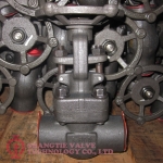 API STANDARD A105N CLASS 800LB FORGED STEEL GATE VALVE_(7074)