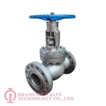 SS304l Globe Valve_(3530)