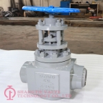 DIN Standard But-welded Free Forged Steel High Presure Globe Valve（1）_5941