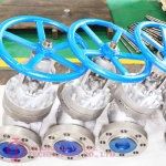 API STAINLESS STEEL CF8 GLOBE VALVE_6200