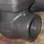 API 602 BB SW END FORGED STEEL GATE VALVE _(6461)