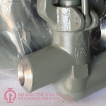 GB Standard Forged Steel Power Station Globe Valve_8420