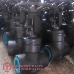 COMPACT STEEL GATE VALVE_5980
