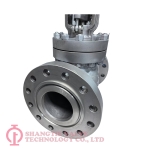 Stainless Steel Globe Valve_(4460)