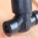 SW END PRESSURE SEALED FORGED STEEL GLOBE VALVE_2164