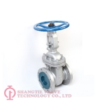 API600-RF-WCB-gate valve_(9340)