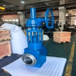 integral-forged-f11-globe-valve-cross-section