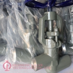 Pressure Sealed Power Station Globe Valve_8703