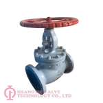 Flange Globe Valve_(6560)