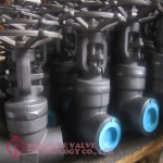 WELDED BONNET FORGED GATE VALVE_6444