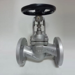 cf8-stainless-steel-bellow-seal-globe-valve-cross-section