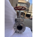 cf8-stainless-steel-globe-valve-cross-section