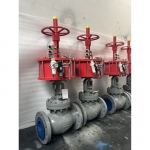 wcb-cast-steel-pneumatic-globe-valve-cross-section