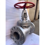 api600-class600-cf8m-globe-valve-datasheet