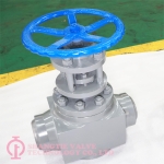 DIN Standard But-welded Free Forged Steel High Presure Globe Valve（3）_6173