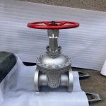 api600-316l-flanged-gate-valve-cross-section