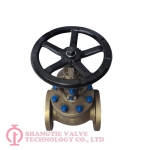 B62 API Globe Valve with Position Indicator_(0610)