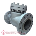 API-Industrial-Stainless Steel-Check Valve_(1760)