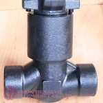 A105N PRESSURE SEALED FORGED STEEL GLOBE VALVE_1340