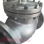 Industrial-Stainless Steel-Check Valve_(8730)