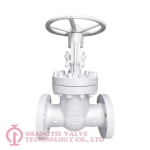 CAST STEEL GATE VALVE_6393