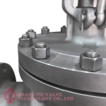 duplex stainless-steel-globe valve_(4240)