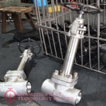 CRYOGENIC GLOBE VALVE_(1182)
