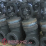 WB WELDED BONNET FORGED STEEL GATE VALVE_6333