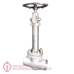 CRYOGENIC FORGED STEEL GLOBE VALVE_(1141)