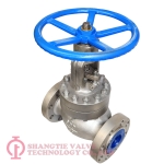 API STANDARD STAINLESS STEEL FLANGED GLOBE VALVE_6422