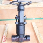 PRESSURE SEALED FORGED STEEL GLOBE VALVES_1732