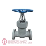 API600-900LB-10inch-Carbon-Steel-WCB-Pressure-Seal-RF-Gate-Valve.jpg_(8710)