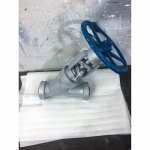 api600-hthp-y-type-globe-valve-3d-model