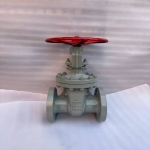wcb-flanged-gate-valve-3d-model