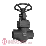 forged steel globe valve_4010