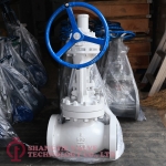 BEVEL GEAR OPERATED API CAST STEEL FLANGED GLOBE VALVE_(0704)