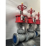 bs1873-wcb-pneumatic-globe-valve-datasheet