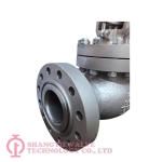 API Globe Valve_(7270)
