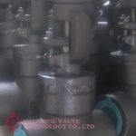 THREADED END WB A105N WELDED BONNET FORGED STEEL GATE VALVE_6111