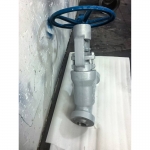 class1500-api600-y-globe-valve-datasheet