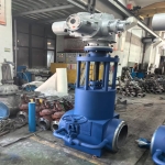 high-pressure-forged-gate-valve-cross-section