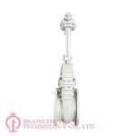 API WEDGED GATE VALVE_6191